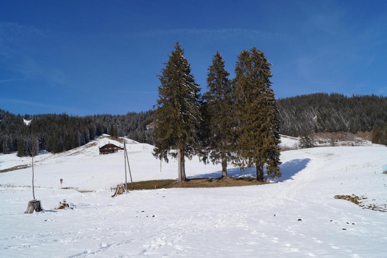 Chalet Alte Post Bad-Schwarzsee Exteriör bild