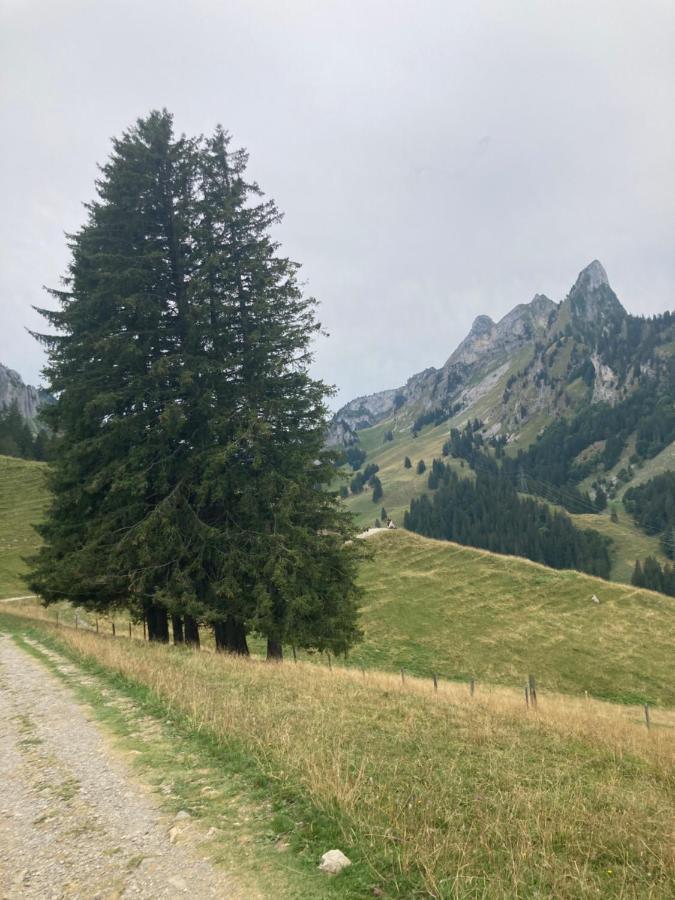 Chalet Alte Post Bad-Schwarzsee Exteriör bild